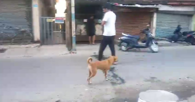 বেস্ট কলকাতা নিউজ : পথকুকুরদের প্রবল দাপট, শিলিগুড়িতে চরম নাজেহাল এলাকার সাধারণ মানুষ
