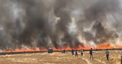 বেস্ট কলকাতা নিউজ : চাষের খেতে ভয়াবহ আগুন রাজস্থানের কোটা জেলায়, পুড়ে ছাই হল ২০০ বিঘা জমির গম