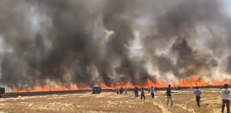 বেস্ট কলকাতা নিউজ : চাষের খেতে ভয়াবহ আগুন রাজস্থানের কোটা জেলায়, পুড়ে ছাই হল ২০০ বিঘা জমির গম