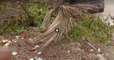 বেস্ট কলকাতা নিউজ : তীব্র যানজটের পাশাপাশি রাস্তার ধারে কোথাও পড়ে আছে বালি, কোথাও পড়ে আছে গাছ, চরম নাজেহাল শহর শিলিগুড়ির মানুষজন