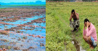 বেস্ট কলকাতা নিউজ : এক চরম সর্বনাশ বছরের প্রথম বৃষ্টিতেই, মাঠেই লক্ষ লক্ষ টাকার আলু নষ্ট হল উত্তরবঙ্গে