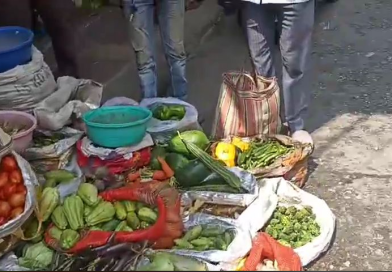 কয়েকদিনের বৃষ্টিতে নষ্ট হয়ে গেছে ফসল, আবার বাড়তে পারে সবজির দাম বেস্ট কলকাতা নিউজ : কয়েকদিনের বৃষ্টিতে নষ্ট হয়ে গেছে ফসল, আবার বাড়তে পারে সবজির দাম