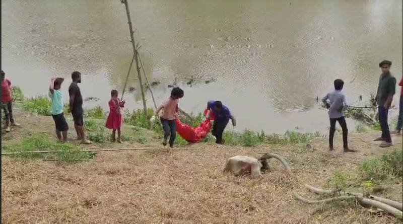 বেস্ট কলকাতা নিউজ : নদীতে স্নান করতে গিয়ে তলিয়ে যাওয়ার ৪৩ ঘণ্টা পর ভেসে উঠল দুই ছাত্রী মৃত দেহ