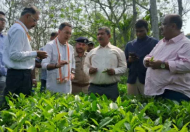 বেস্ট কলকাতা নিউজ : চা শিল্পের জন্য বাজেটে নেই কোনো রকম ঘোষণা , ড্যামেজ কন্ট্রোলে নির্বাচনের মুখে বাগানে এলেন কেন্দ্রীয় মন্ত্রী