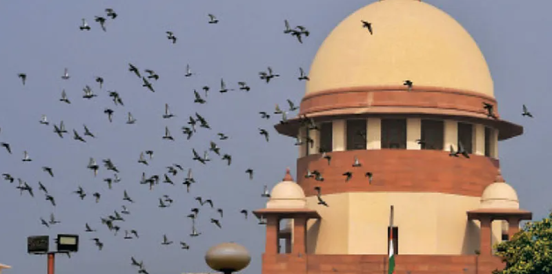 বেস্ট কলকাতা নিউজ : অ্যাসিড হামলায় আক্রান্তদের সরকারি চাকরি বা ভাতা দেওয়া হোক রাজ্য সরকার গুলিকে এক বিরাট বার্তা দিলো দেশের শীর্ষ আদালত