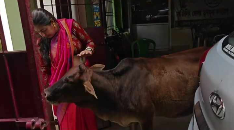 বেস্ট কলকাতা নিউজ : একটু অন্য মেজাজে দেখা গেলো তৃণমূল নেত্রী পাপিয়া ঘোষকে