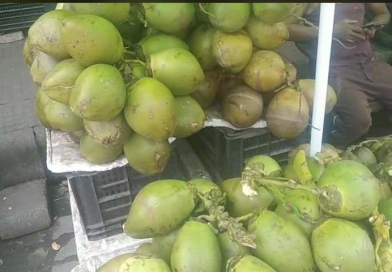 বেস্ট কলকাতা নিউজ : একটু গরম পড়তেই বিক্রি বাড়লো ডাবের, ডাব মিলছে শিলিগুড়ির সব বাজারেই