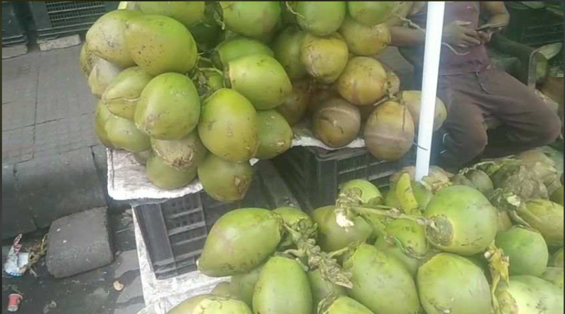বেস্ট কলকাতা নিউজ : একটু গরম পড়তেই বিক্রি বাড়লো ডাবের, ডাব মিলছে শিলিগুড়ির সব বাজারেই